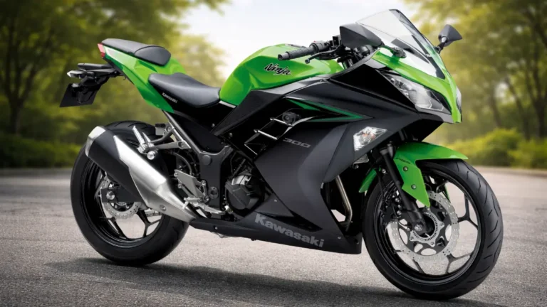 Kawasaki Ninja 300
